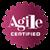 Introduction to Agile Software Development